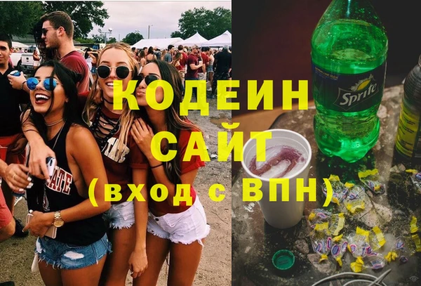 прущие грибы Алзамай