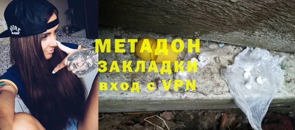 прущие грибы Алзамай