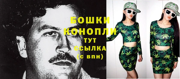 бошки Алексин