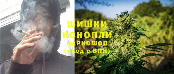 прущие грибы Алзамай