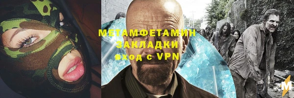 прущие грибы Алзамай