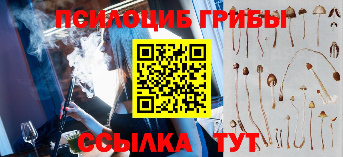 Нефтекумск  Псилоцибиновые грибы мухоморы  Вход с VPN 